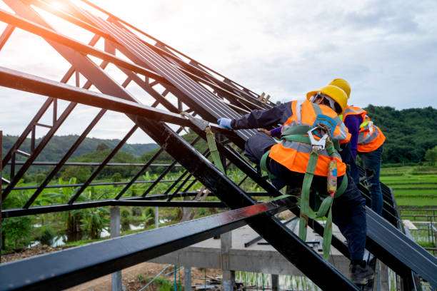 Professional Roofing Contractor in Lewiston, MN